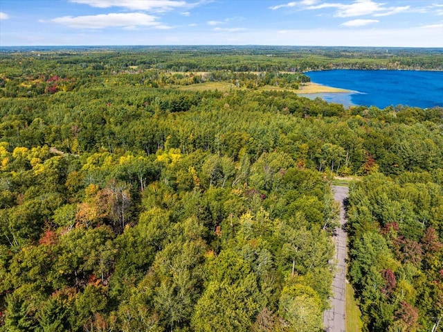TBD Ski Gull Ln SW, Nisswa, MN 56468