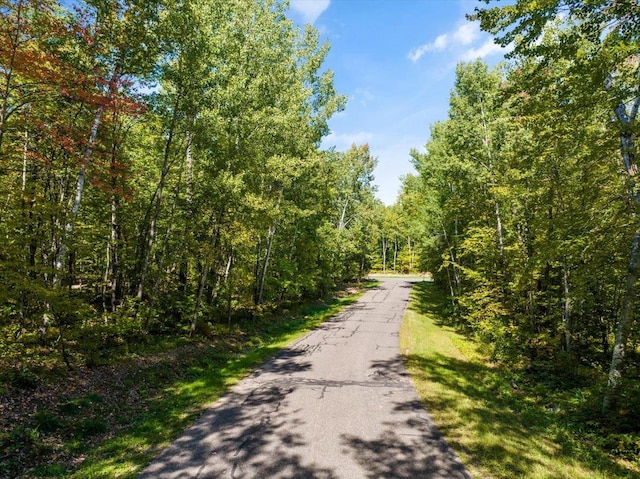 TBD Ski Gull Ln SW, Nisswa, MN 56468