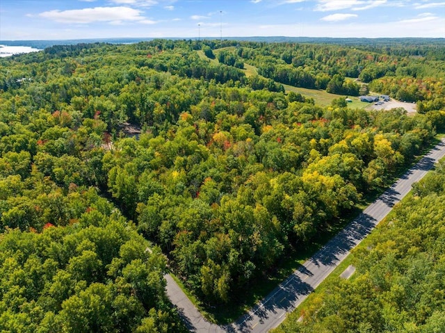 TBD Ski Gull Ln SW, Nisswa, MN 56468