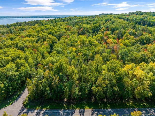 TBD Ski Gull Ln SW, Nisswa, MN 56468
