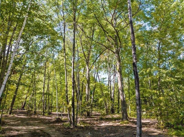 TBD Ski Gull Ln SW, Nisswa, MN 56468