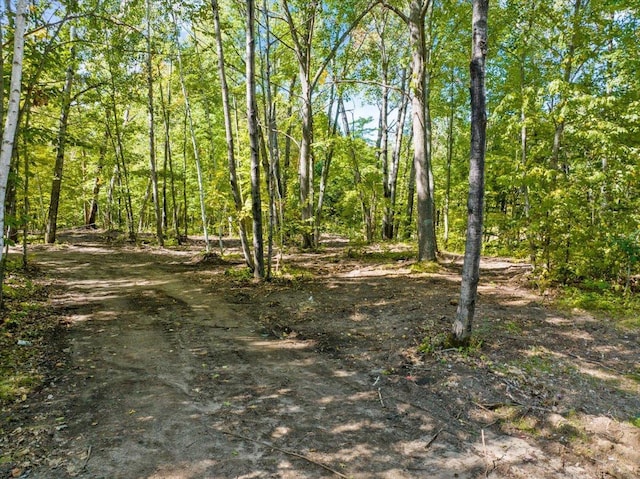 TBD Ski Gull Ln SW, Nisswa, MN 56468