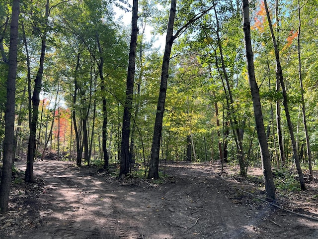 TBD Ski Gull Ln SW, Nisswa, MN 56468