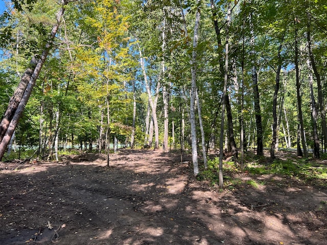 TBD Ski Gull Ln SW, Nisswa, MN 56468