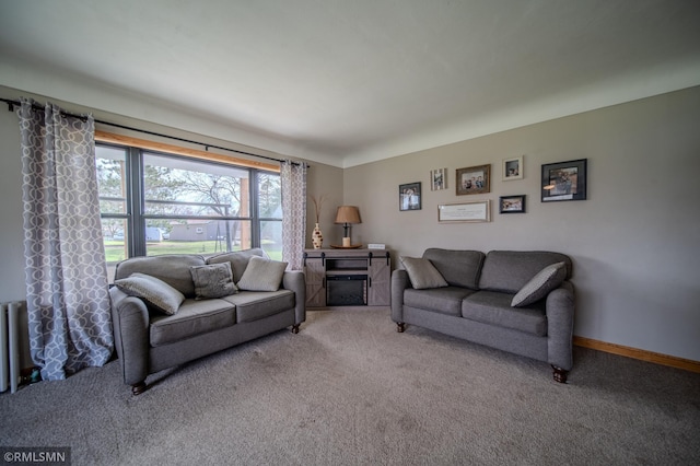 300 Carlson Rd, Cannon Falls, MN 55009 - living area with carpet flooring and baseboards