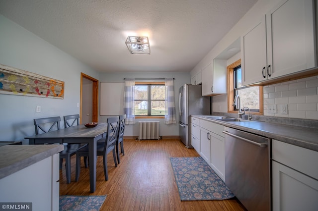 300 Carlson Rd, Cannon Falls, MN 55009 - kitchen with a sink, stainless steel appliances, decorative backsplash, radiator heating unit, and light wood-style flooring