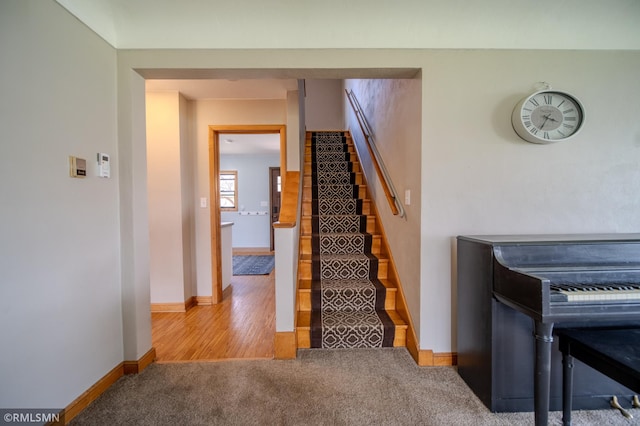 300 Carlson Rd, Cannon Falls, MN 55009 - stairway featuring baseboards and carpet floors
