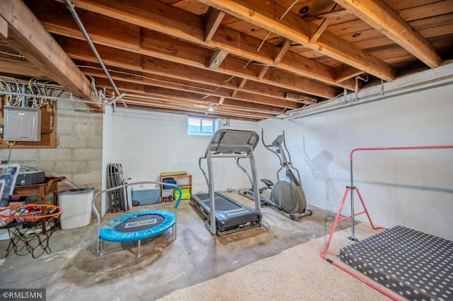 300 Carlson Rd, Cannon Falls, MN 55009 - below grade area with electric panel
