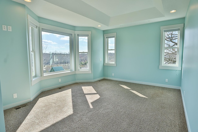 203 Walnut Hill Way, Troy Twp, WI 54022 - carpeted spare room featuring recessed lighting, baseboards, visible vents, and a tray ceiling