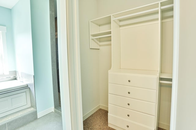 203 Walnut Hill Way, Troy Twp, WI 54022 - view of closet