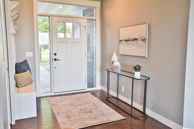 203 Walnut Hill Way, Troy Twp, WI 54022 - foyer with dark wood-type flooring and baseboards
