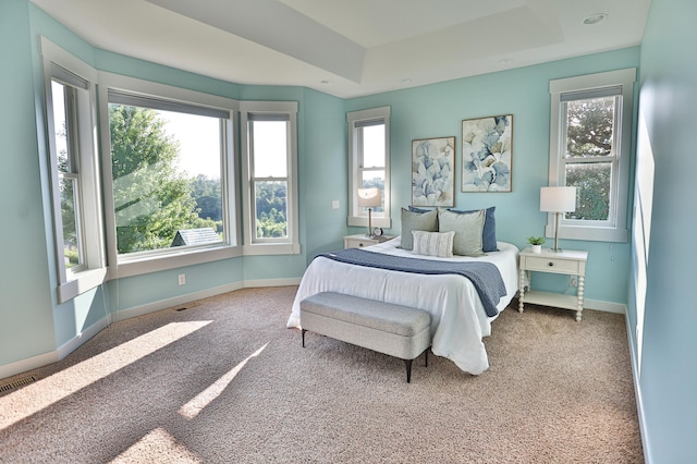 203 Walnut Hill Way, Troy Twp, WI 54022 - carpeted bedroom with multiple windows and a raised ceiling