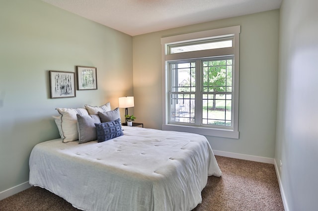 203 Walnut Hill Way, Troy Twp, WI 54022 - bedroom with multiple windows and dark colored carpet