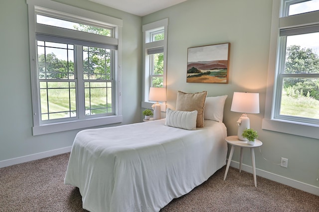 203 Walnut Hill Way, Troy Twp, WI 54022 - bedroom featuring carpet