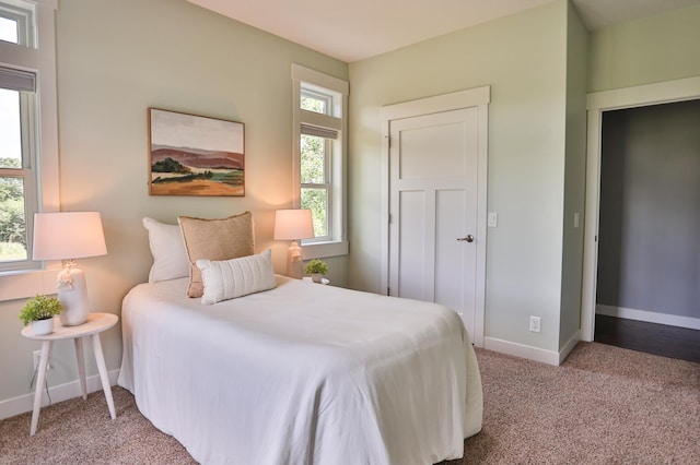 203 Walnut Hill Way, Troy Twp, WI 54022 - bedroom with carpet flooring