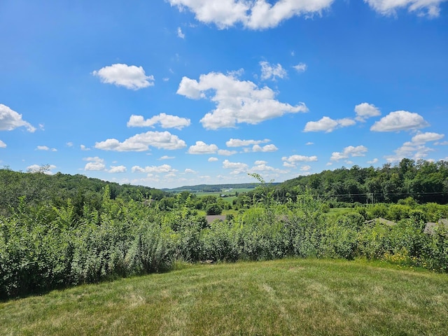 203 Walnut Hill Way, Troy Twp, WI 54022 - view of mountain background with a forest