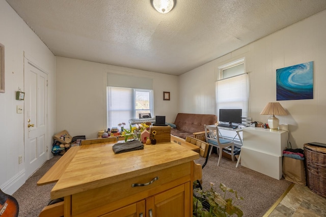606 11th St SE, Rochester, MN 55904 - carpeted office space featuring a textured ceiling