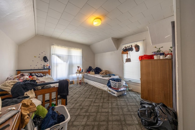 606 11th St SE, Rochester, MN 55904 - bedroom with lofted ceiling and carpet flooring