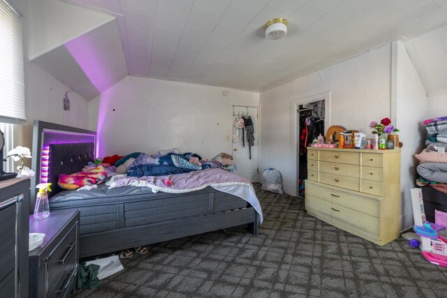 606 11th St SE, Rochester, MN 55904 - carpeted bedroom with a closet and vaulted ceiling