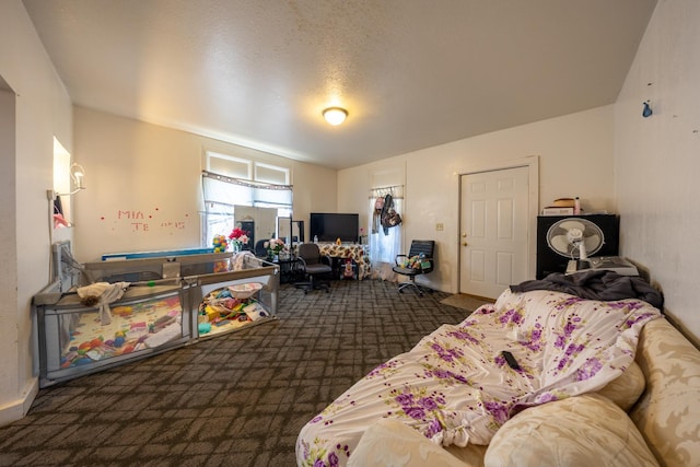 606 11th St SE, Rochester, MN 55904 - view of carpeted bedroom