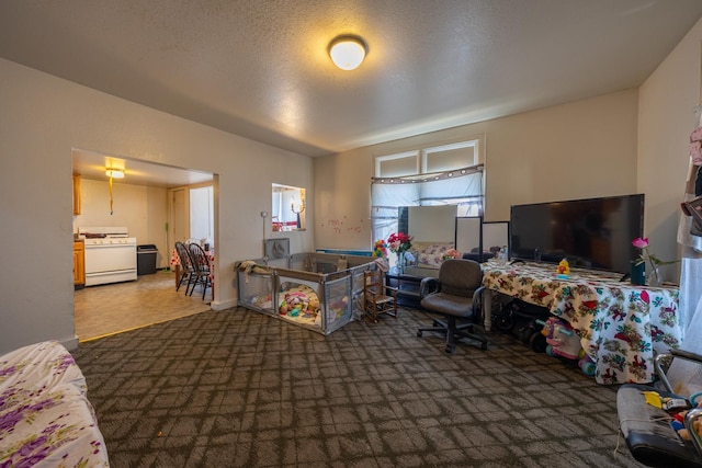 606 11th St SE, Rochester, MN 55904 - carpeted bedroom with a textured ceiling