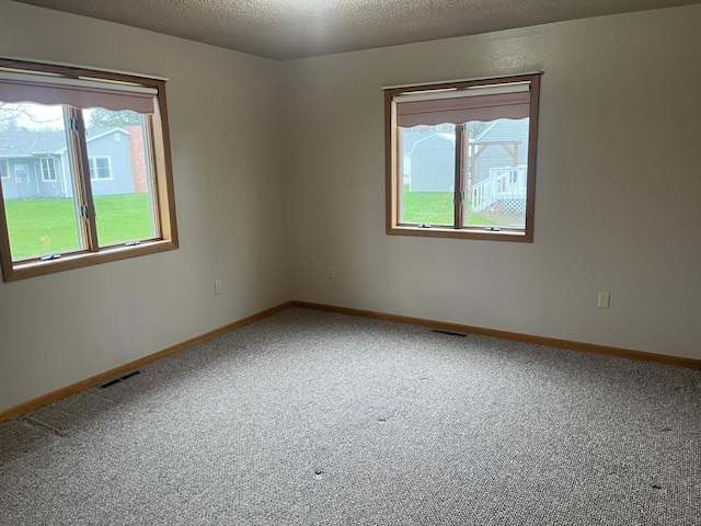 130 2nd St NE, Mcintosh, MN 56556 - spare room featuring a wealth of natural light, carpet flooring, and visible vents