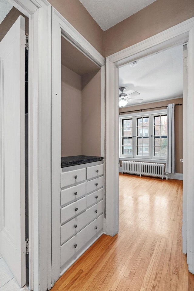 1820 1st Ave S Unit 102, Minneapolis, MN 55403 - closet with radiator heating unit