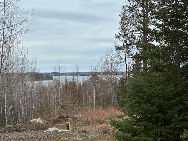 water view