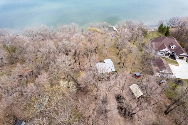 39315 Little Mo Rd, Clitherall Twp, MN 56524 - birds eye view of property