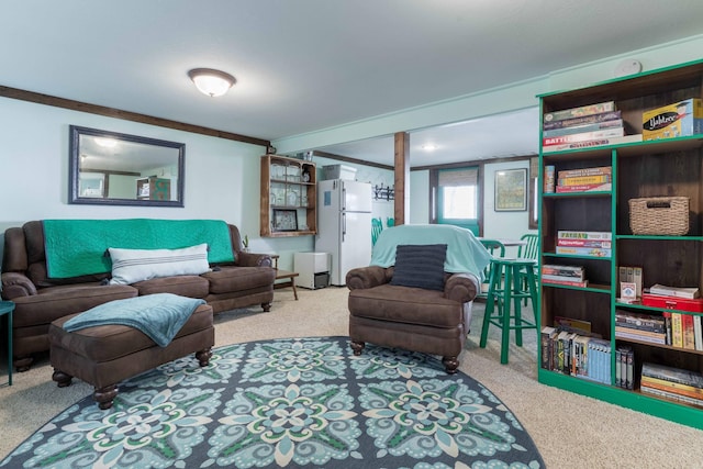39315 Little Mo Rd, Clitherall Twp, MN 56524 - living room featuring carpet floors