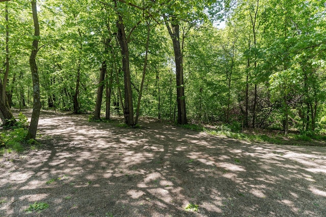39315 Little Mo Rd, Clitherall Twp, MN 56524 - view of road featuring a wooded view