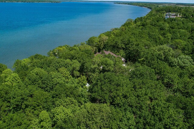 39315 Little Mo Rd, Clitherall Twp, MN 56524 - view of property location with a nearby body of water and a heavily wooded area