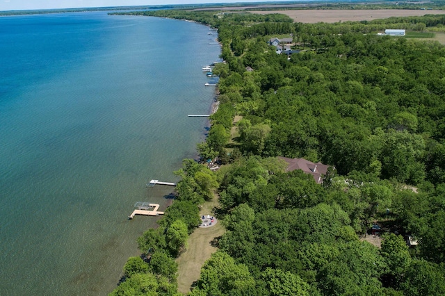 39315 Little Mo Rd, Clitherall Twp, MN 56524 - aerial overview of property's location with a large body of water and a forest