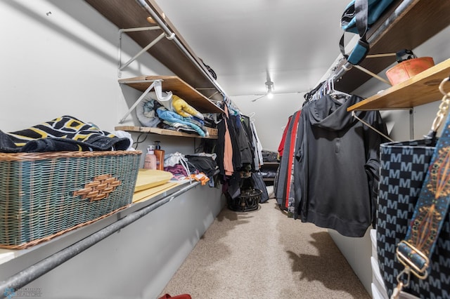walk in closet featuring carpet flooring
