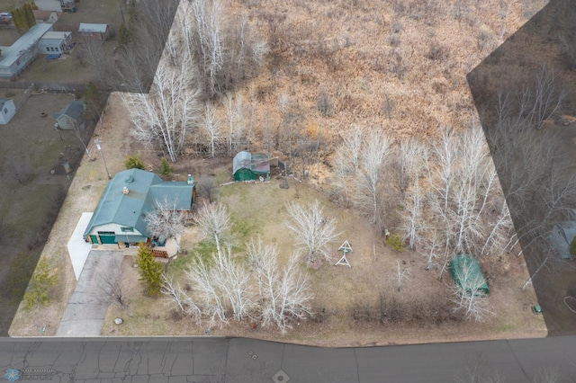 drone / aerial view