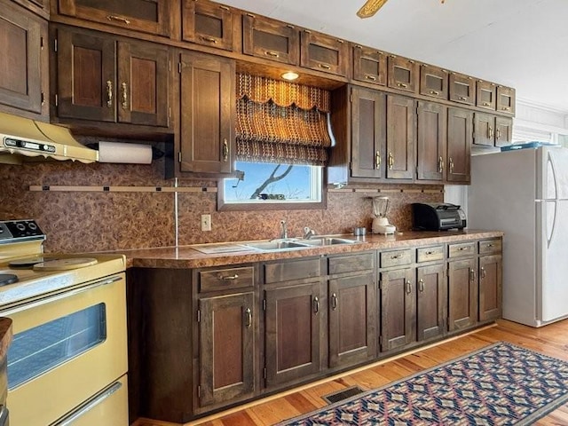 kitchen featuring plenty of natural light, a sink, decorative backsplash, and white appliances