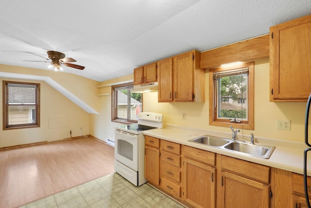 451 Taylor St NE, Minneapolis, MN 55413 - kitchen with electric range, under cabinet range hood, plenty of natural light, light countertops, and vaulted ceiling
