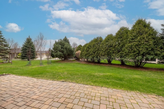 1213 Grey Fox Ave SW, Rochester, MN 55902 - view of green lawn
