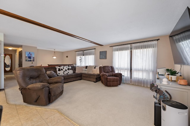 1601 5th Ave, Grand Rapids, MN 55744 - living area with carpet