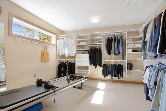 spacious closet featuring carpet flooring