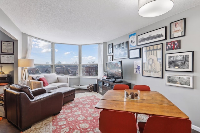 1425 28th St Unit 407, Minneapolis, MN 55408 - living room featuring a textured ceiling, a baseboard heating unit, and baseboards
