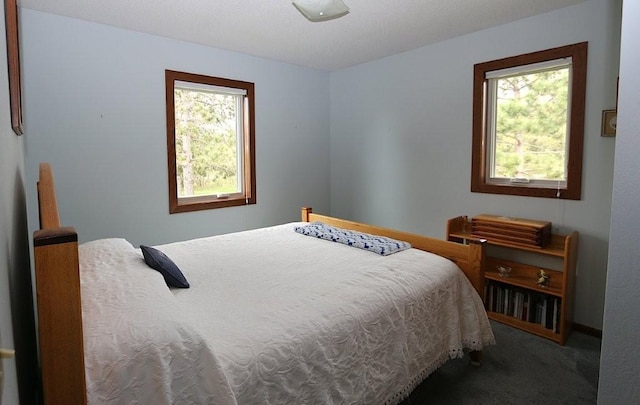 44172 Mosquito Heights Rd, Perham, MN 56573 - bedroom featuring carpet