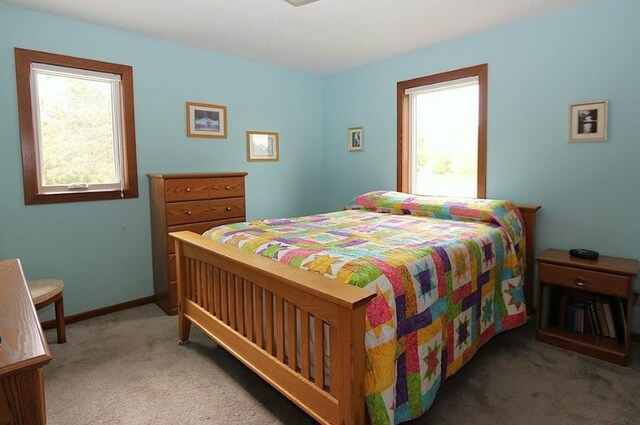 44172 Mosquito Heights Rd, Perham, MN 56573 - bedroom with carpet flooring
