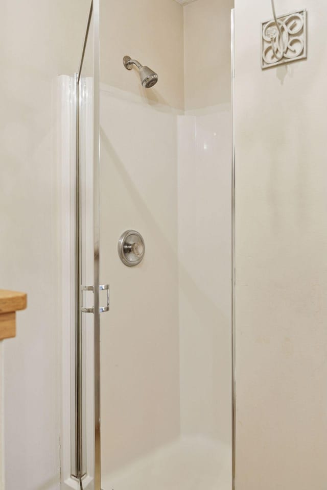 2499 Lockwood Dr Unit 61, Mendota Heights, MN 55120 - bathroom with a shower stall