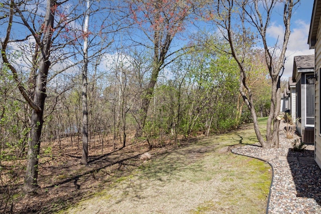 2499 Lockwood Dr Unit 61, Mendota Heights, MN 55120 - view of yard