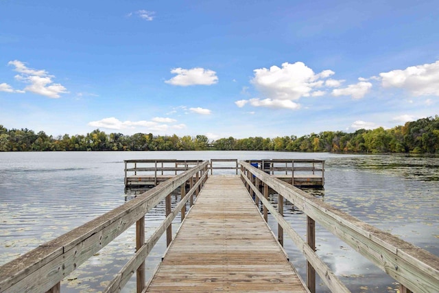 2499 Lockwood Dr Unit 61, Mendota Heights, MN 55120 - dock featuring a water view and a forest view