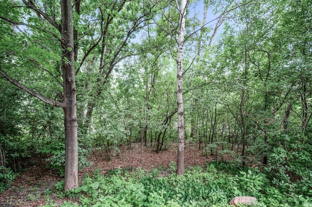 2499 Lockwood Dr Unit 61, Mendota Heights, MN 55120 - photo 44