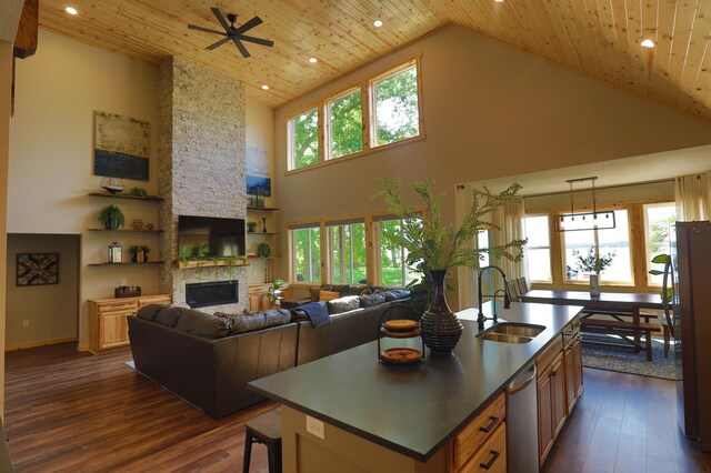 kitchen with a sink, high vaulted ceiling, freestanding refrigerator, stainless steel dishwasher, and dark wood-type flooring