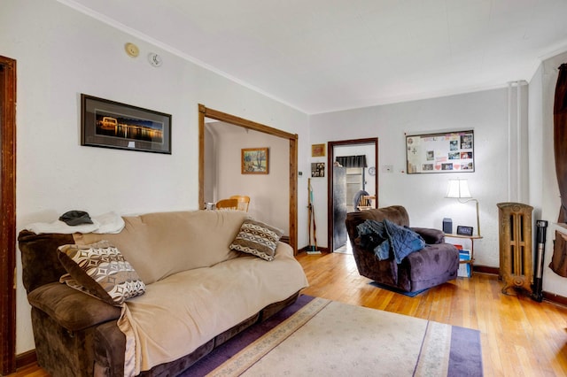 1102 Pacific St, Saint Paul, MN 55106 - living room with light wood-style flooring, ornamental molding, baseboards, and radiator