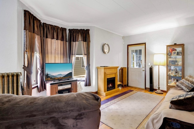 1102 Pacific St, Saint Paul, MN 55106 - living room featuring radiator heating unit, ornamental molding, wood finished floors, and a warm lit fireplace